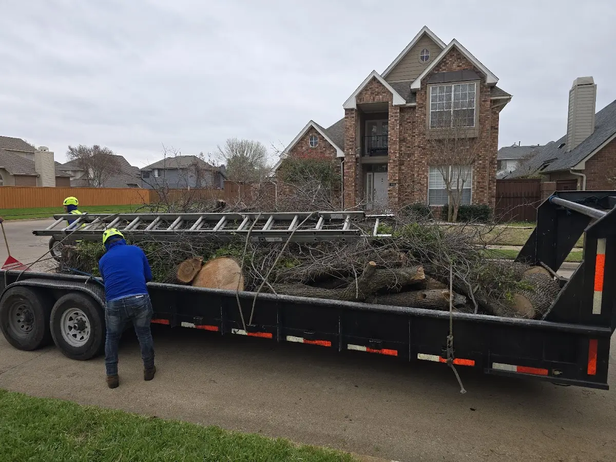 Expert Tree Pest Control with proper safety equipment in Sainte Genevieve